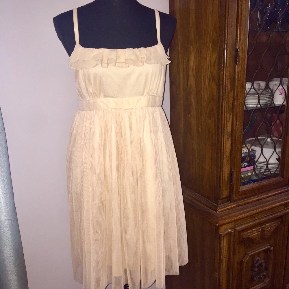 Tule Dress